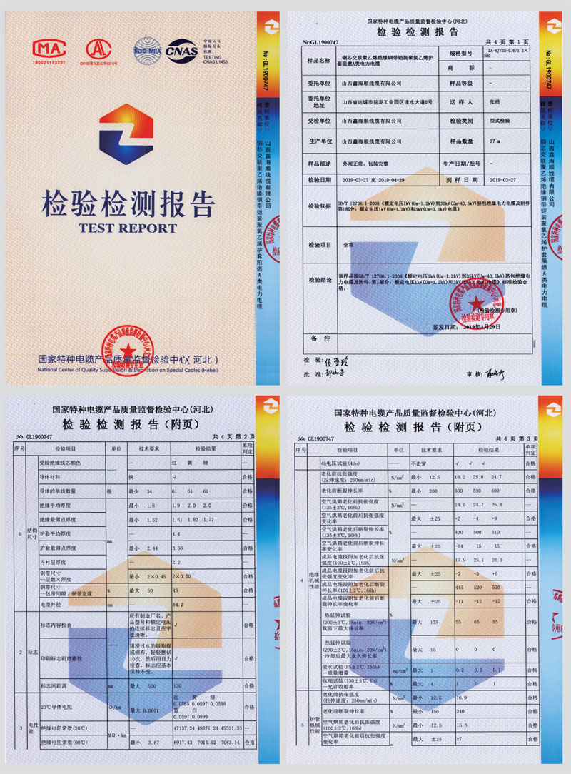 檢驗(yàn)報(bào)告